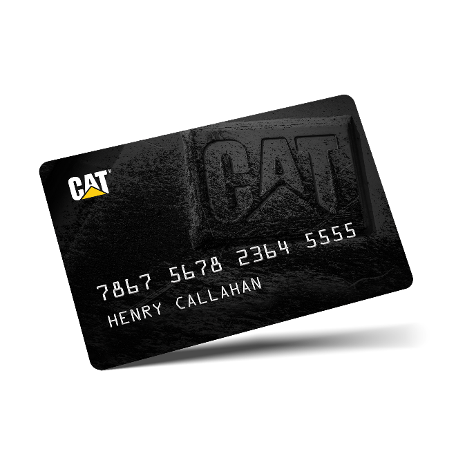 cat card shadow