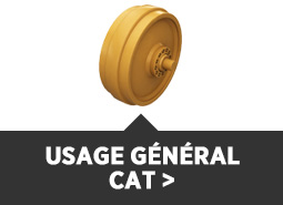 usage général cat